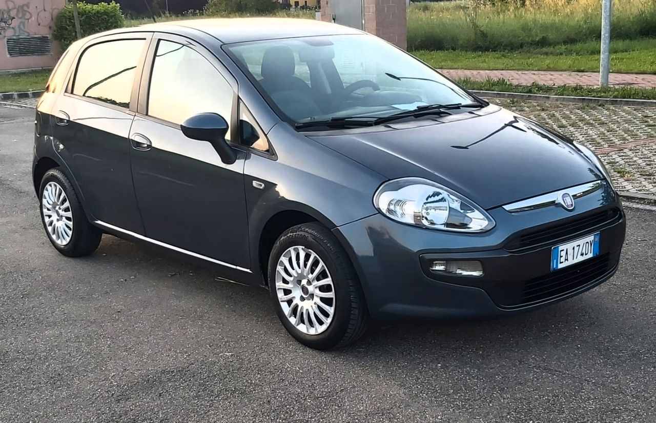 Fiat Punto Evo Punto Evo 1.2 5 porte Active