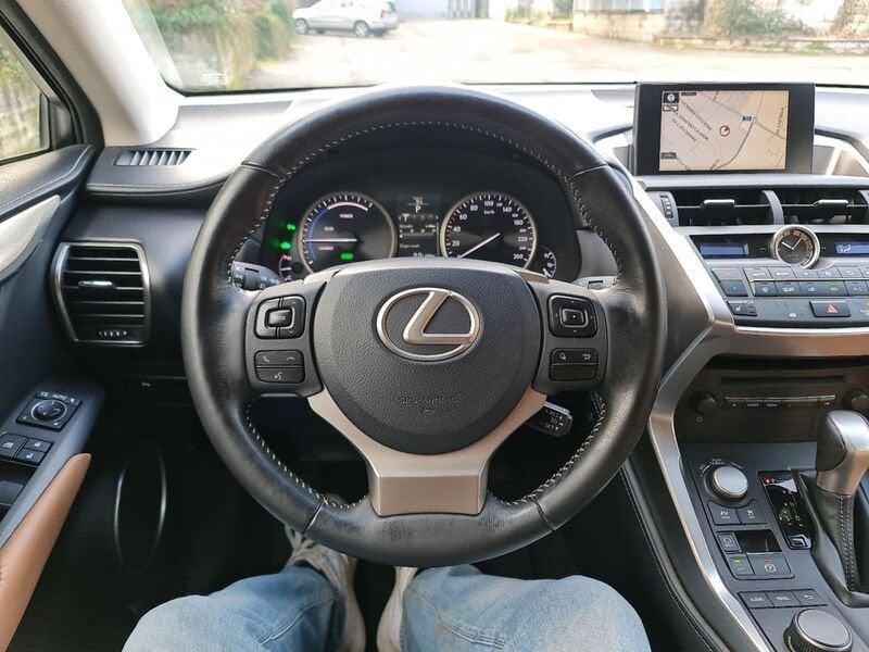 Lexus NX Hybrid 4WD Icon