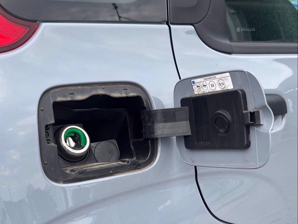 FIAT Panda 1.0 FireFly S&S Hybrid City Life del 2022