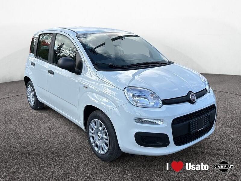 FIAT Panda III Pandina 1.0 firefly hybrid Icon s&s 70cv