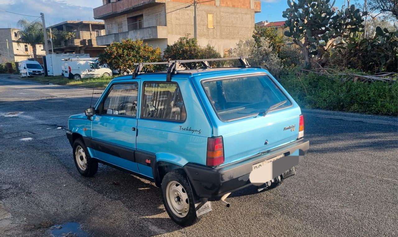 Fiat Panda 4x4 anno 1990