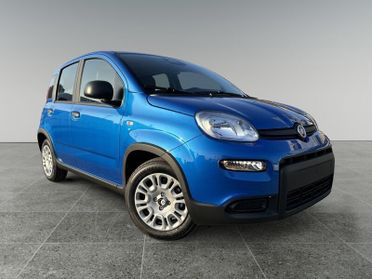 FIAT Panda 1.0 FireFly S&S Hybrid Pandina