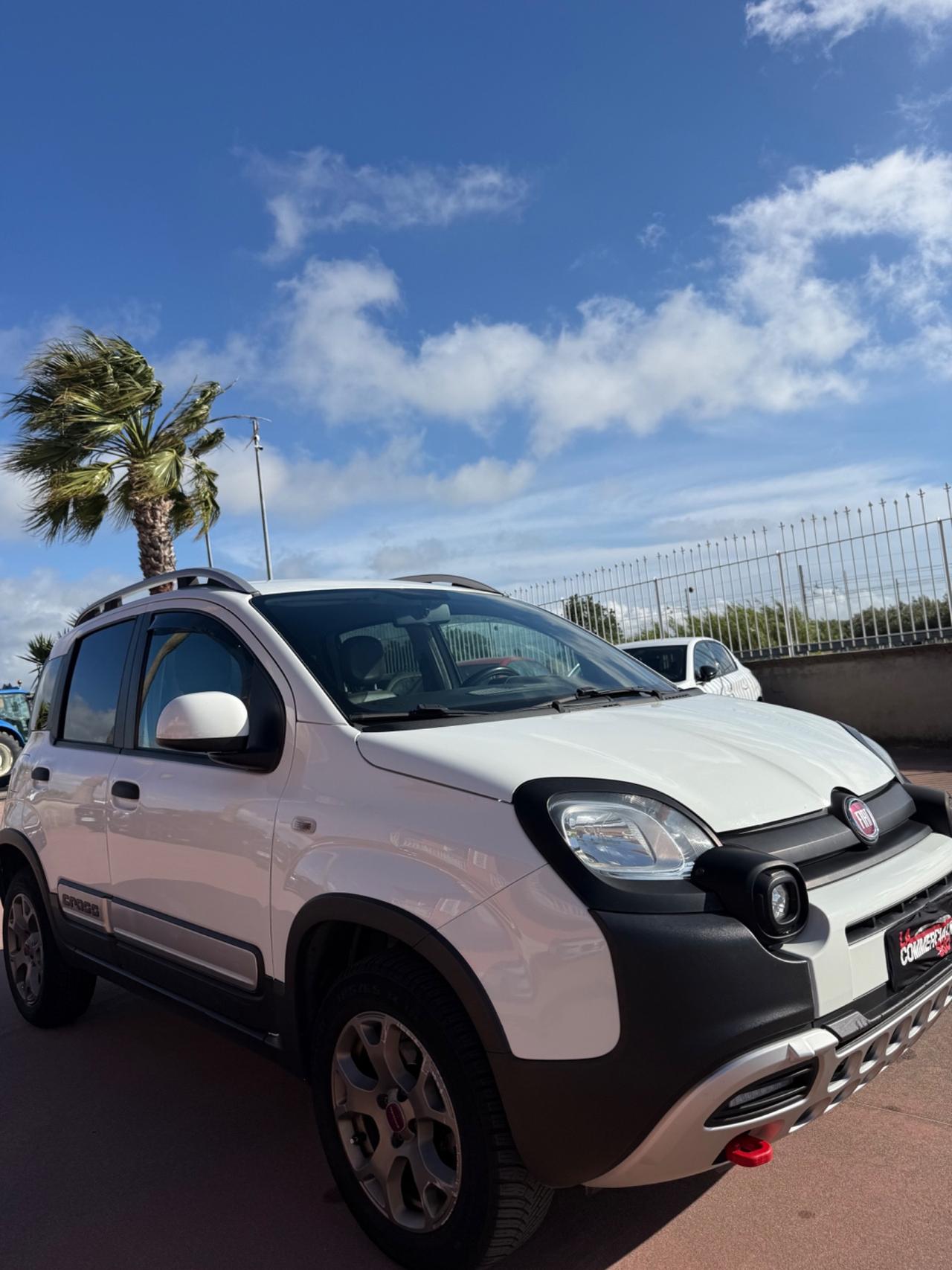 Fiat Panda Cross 4x4 1.3 MJT 80cv