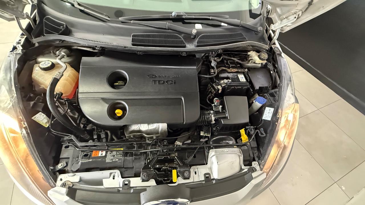 Ford Fiesta 1.4 TDCi 5p. Titanium