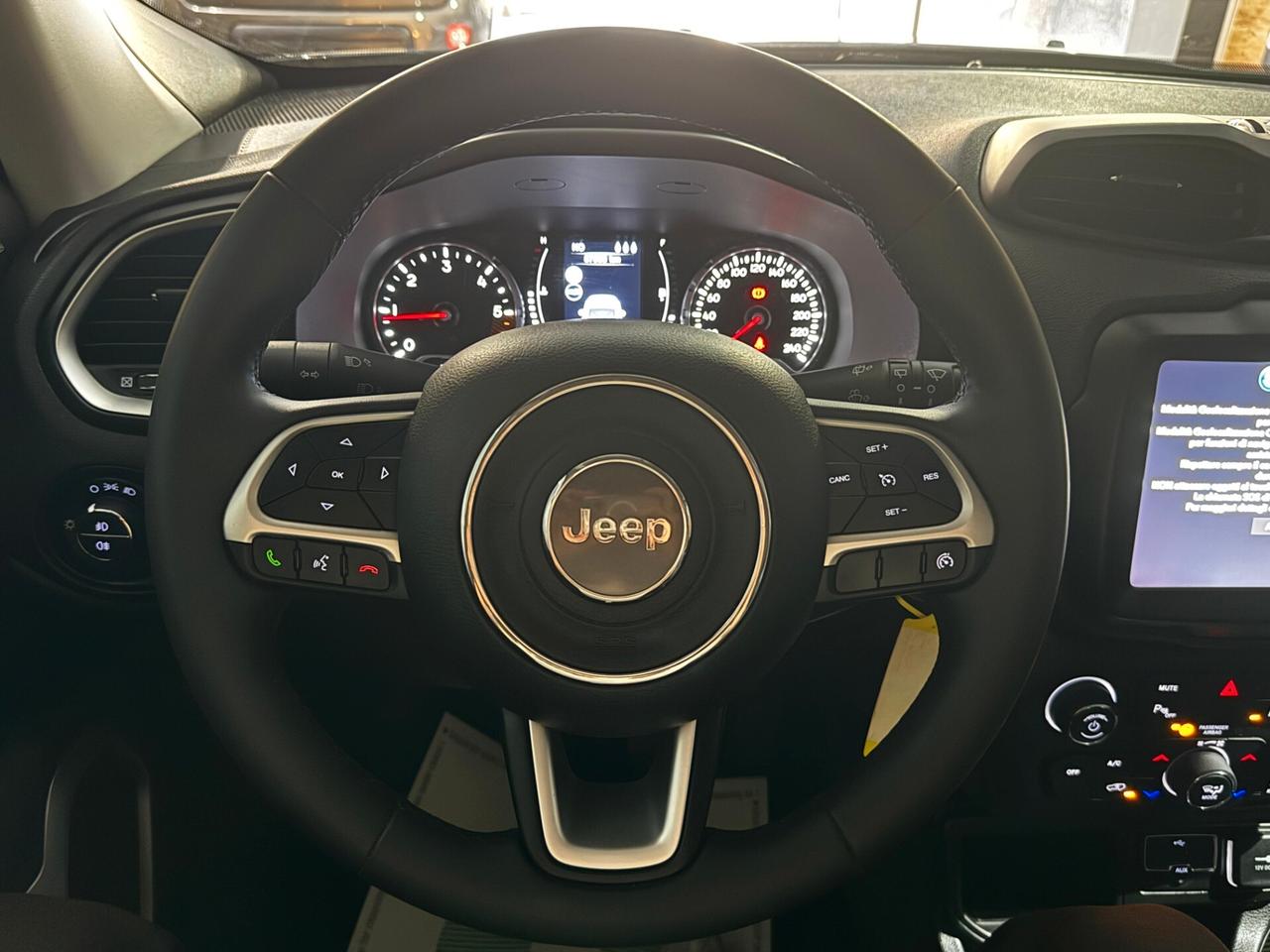 Jeep Renegade 1.6 Mjt 130 CV Business KM 57569