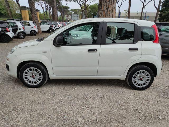 FIAT Panda 1.2 Easy CLIMATIZZATORE OK NEOPATENTATI ..