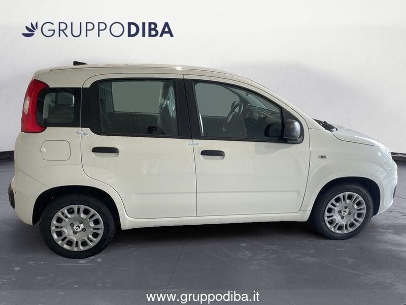 FIAT Panda 1.0 70cv Hybrid Panda