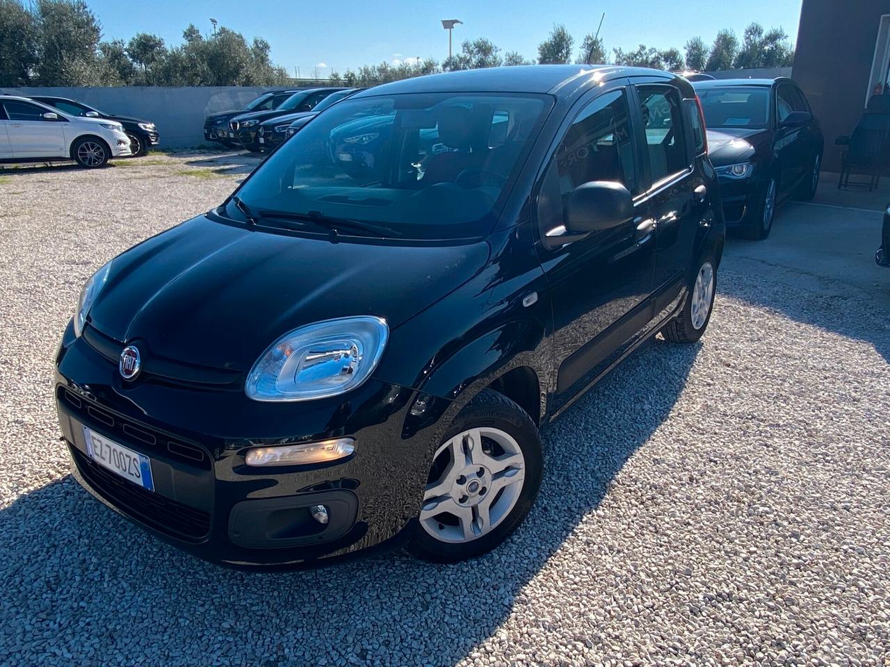 Fiat Panda 1.2 Lounge NEOPATENTATI UNICO PROPIETARIO BENZINA MANUALE