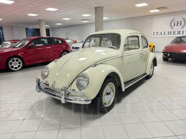 Volkswagen Maggiolino