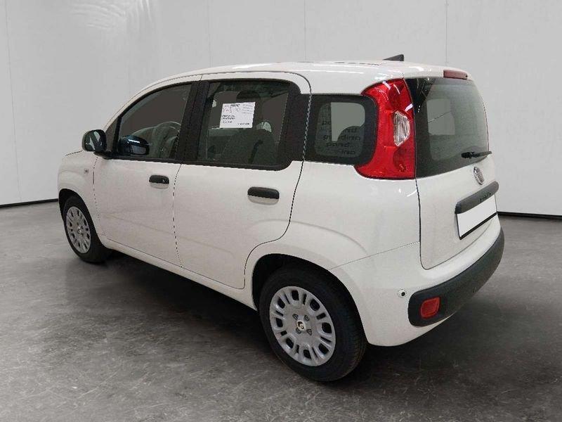 FIAT Pandina 1.0 firefly hybrid Icon s&s 70cv 5p.ti