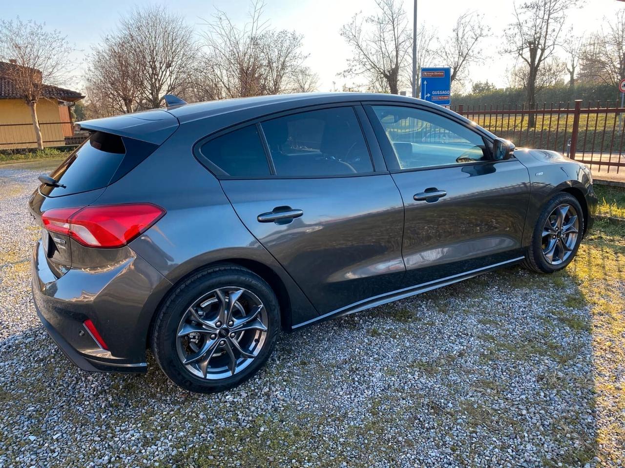 Ford Focus 1.0 EcoBoost Hybrid 125 CV 5p. ST Line