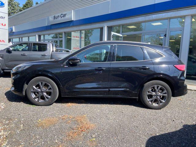 FORD Kuga 1.5 EcoBoost 150 CV 2WD ST-Line