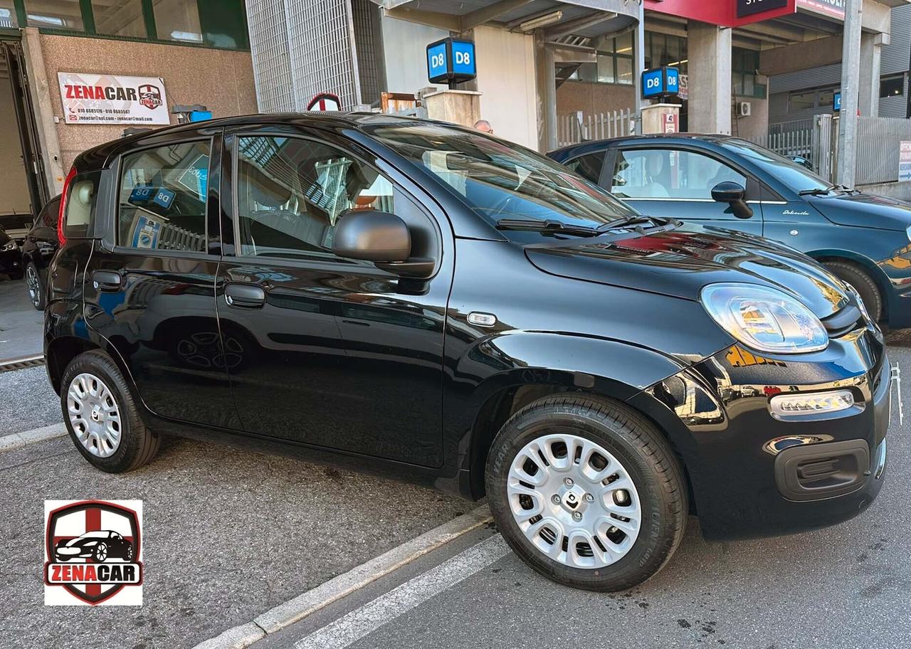 Fiat Panda 1.0 FireFly S&S Hybrid Pandina KM ZERO SENZA VINCOLO FINANZIAMENTO
