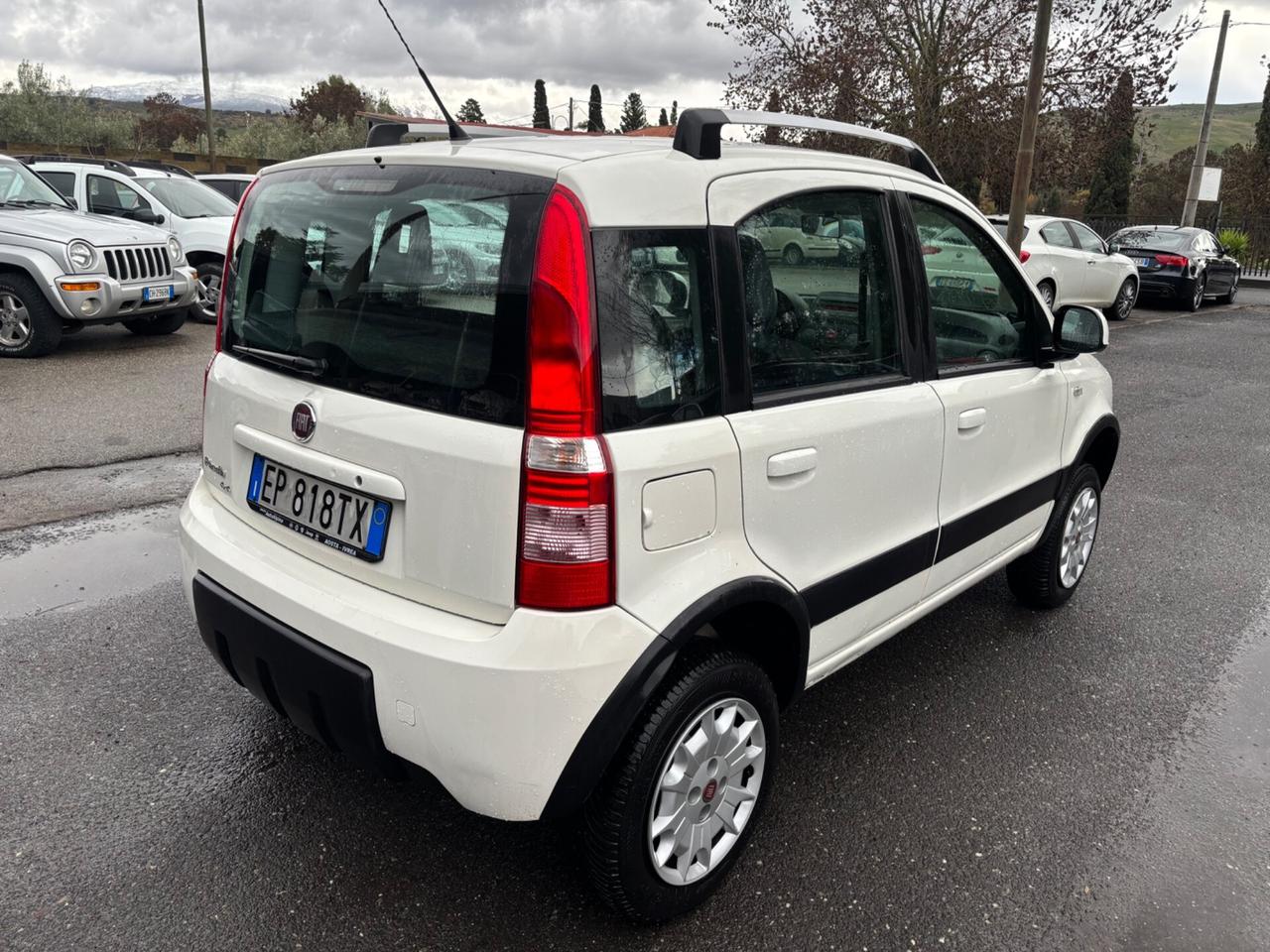 Fiat Panda 1.3 MJT 16V DPF 4x4 Climbing