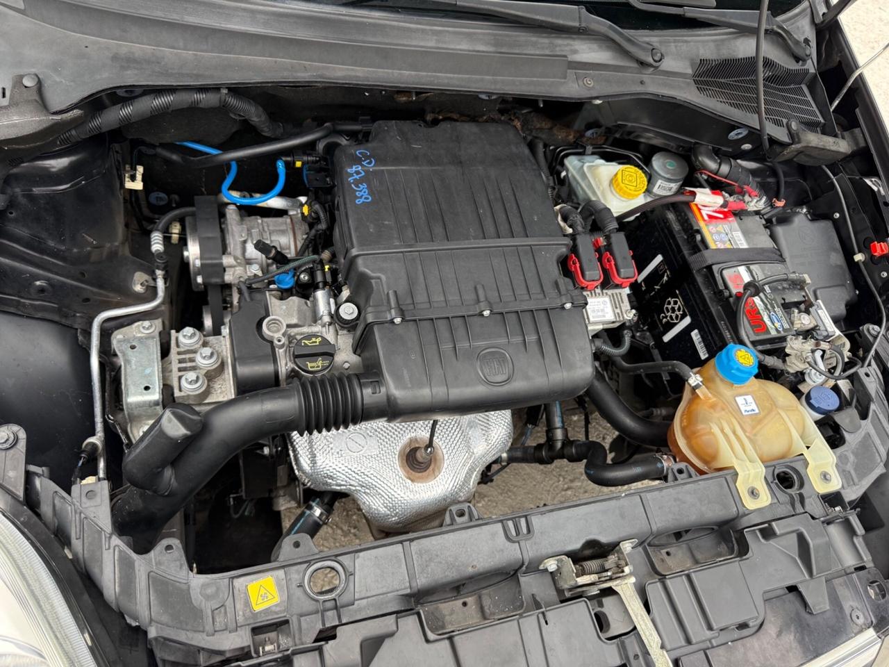 Fiat Punto Evo 1.2 5 porte Active Neopatentati