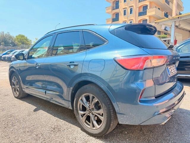 Ford Kuga 1.5 EcoBlue 120 CV aut. 2WD ST-Line N1