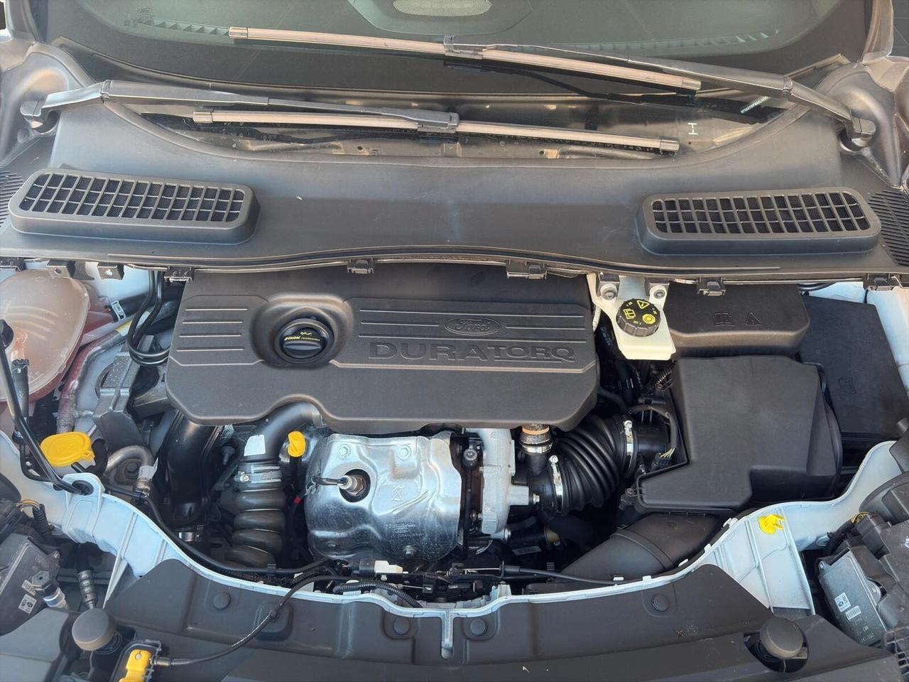 Ford Kuga 1.5 TDCi 120cv ST-Line COME NUOVA