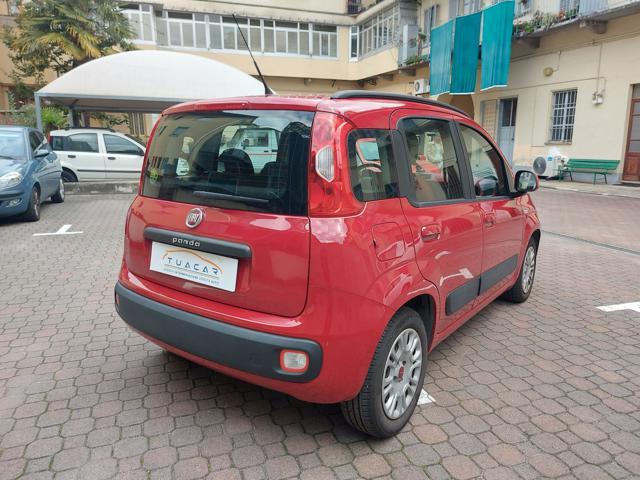 FIAT Panda 1.3 Multijet 75 CV NEOPATENTATI