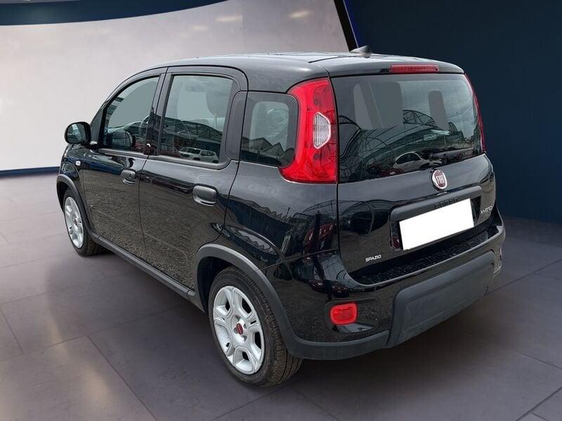 FIAT Panda My23 1.0 70cv Hybrid Panda