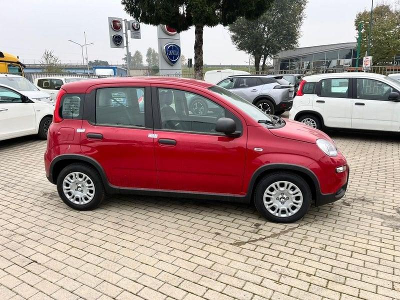 FIAT Panda 1.0 FireFly S&S Hybrid Pandina