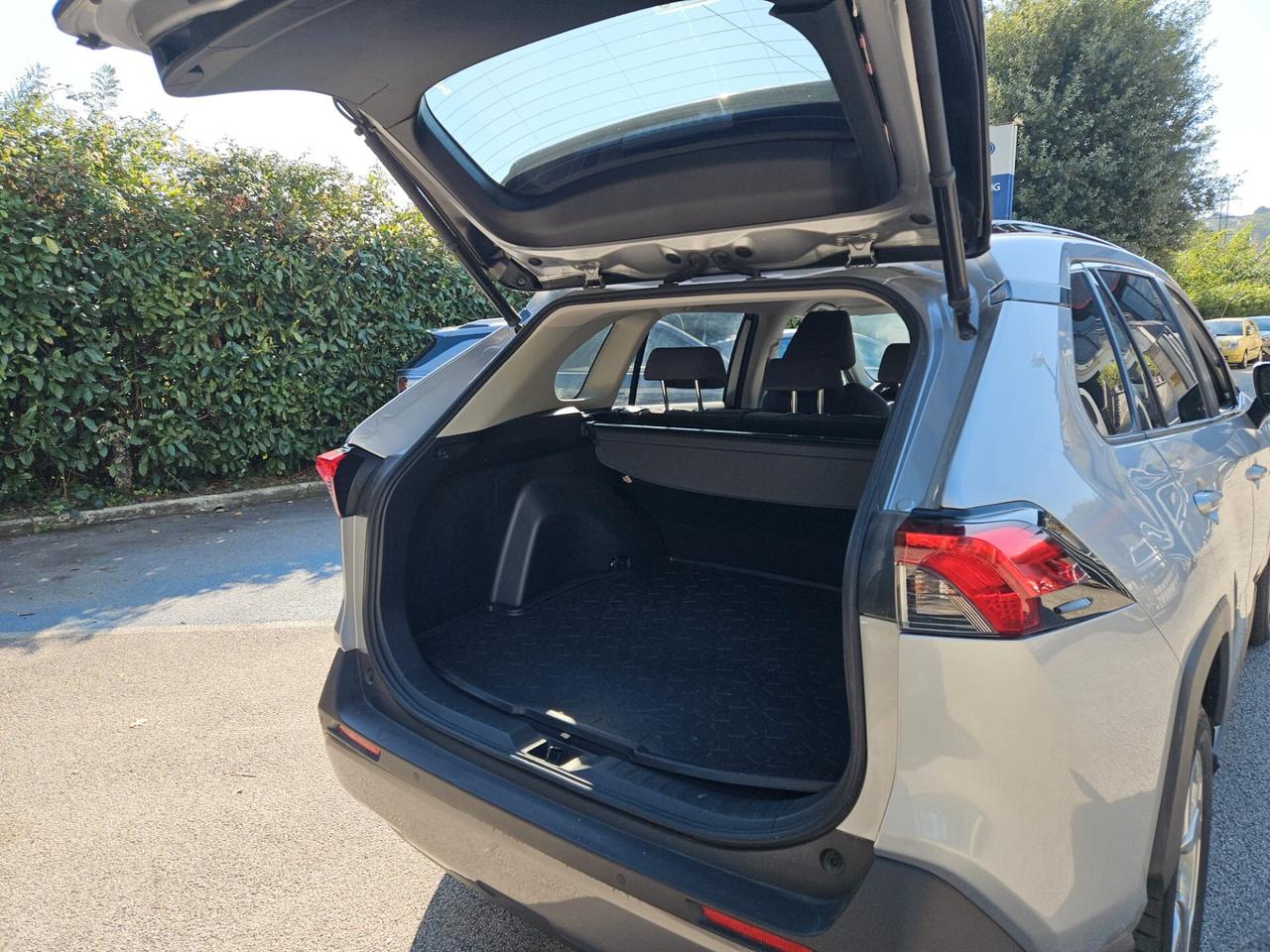 Toyota RAV 4 RAV4 2.5 HV (218CV) E-CVT 2WD Dynamic
