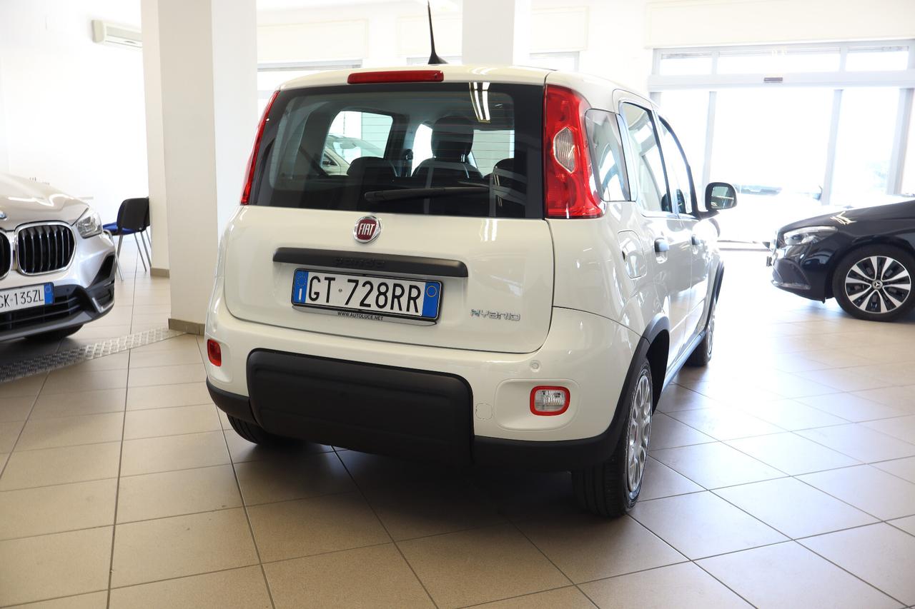 FIAT PANDA 1.0 70 CV FIREFLY HYBRID CITY LIFE - CONDIZIONI ECCELLENTI