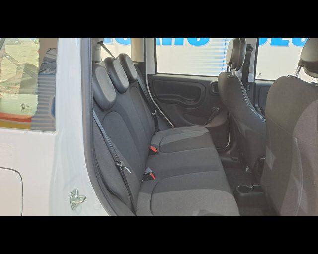 FIAT Panda 1.0 firefly hybrid Icon s&s 70cv 5p.ti