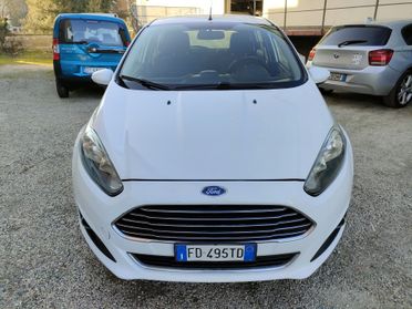 Ford Fiesta 1.4 5 porte Bz.- GPL Black & White Edition