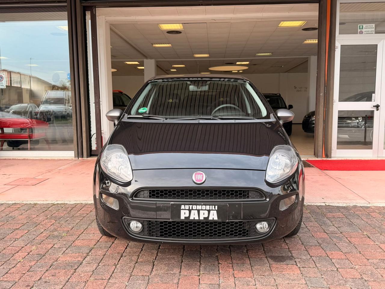 Fiat Punto 1.2 8V 5 porte Young
