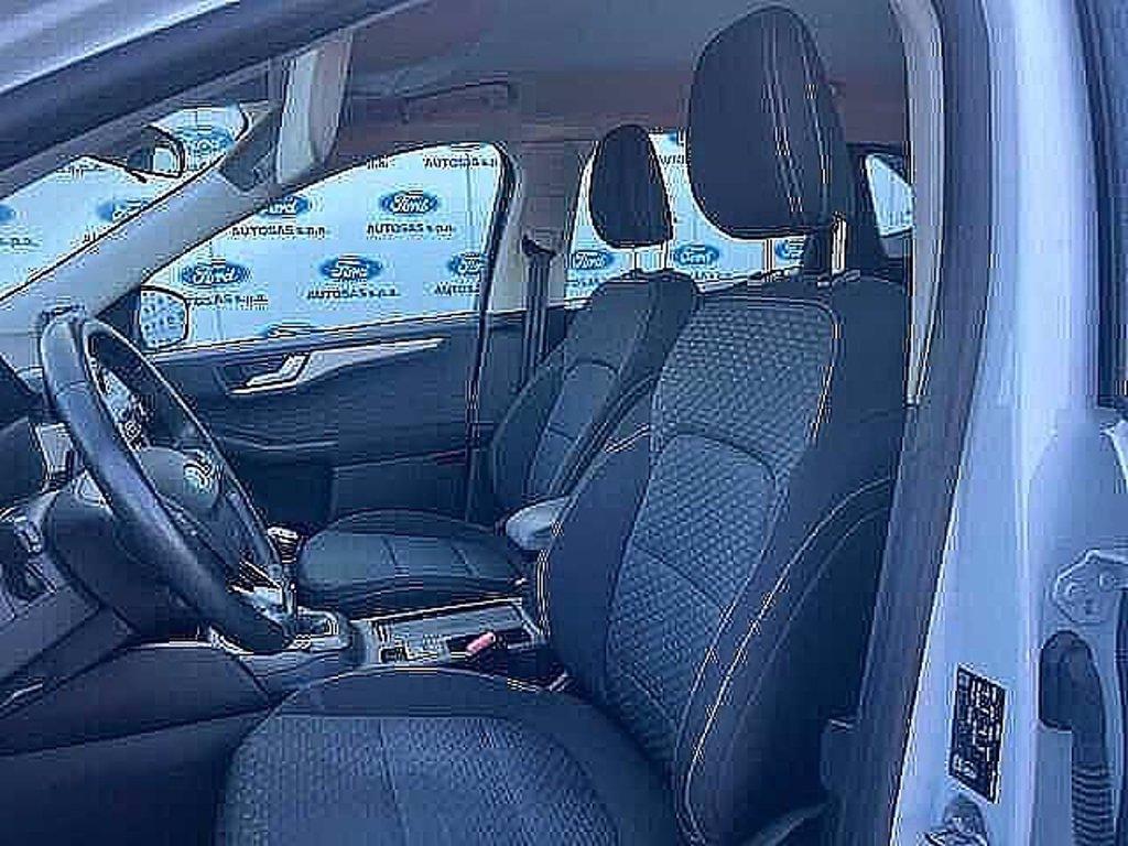 FORD Kuga 1.5 EcoBlue 120 CV 2WD Titanium Business del 2020