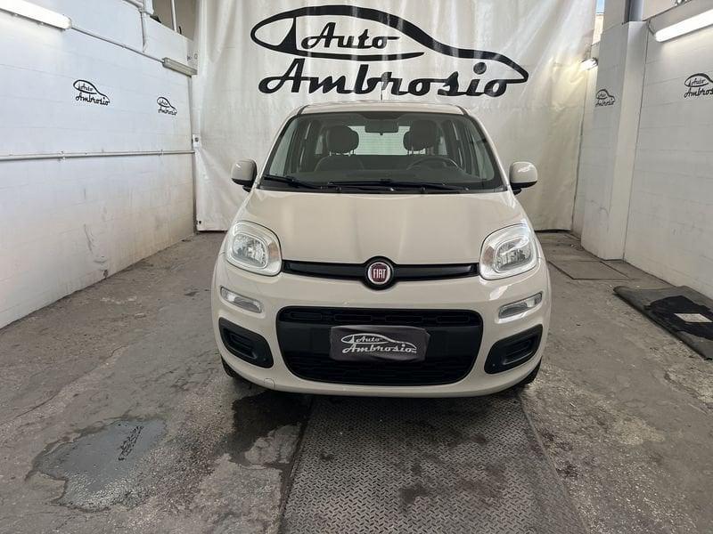 FIAT Panda Panda 1.2 Easy tua da 90,00 euro al mese