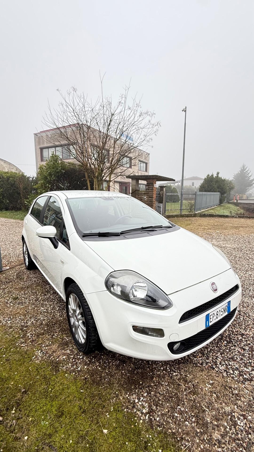 Fiat Punto 1.4 S&S 8V 5 porte Easy
