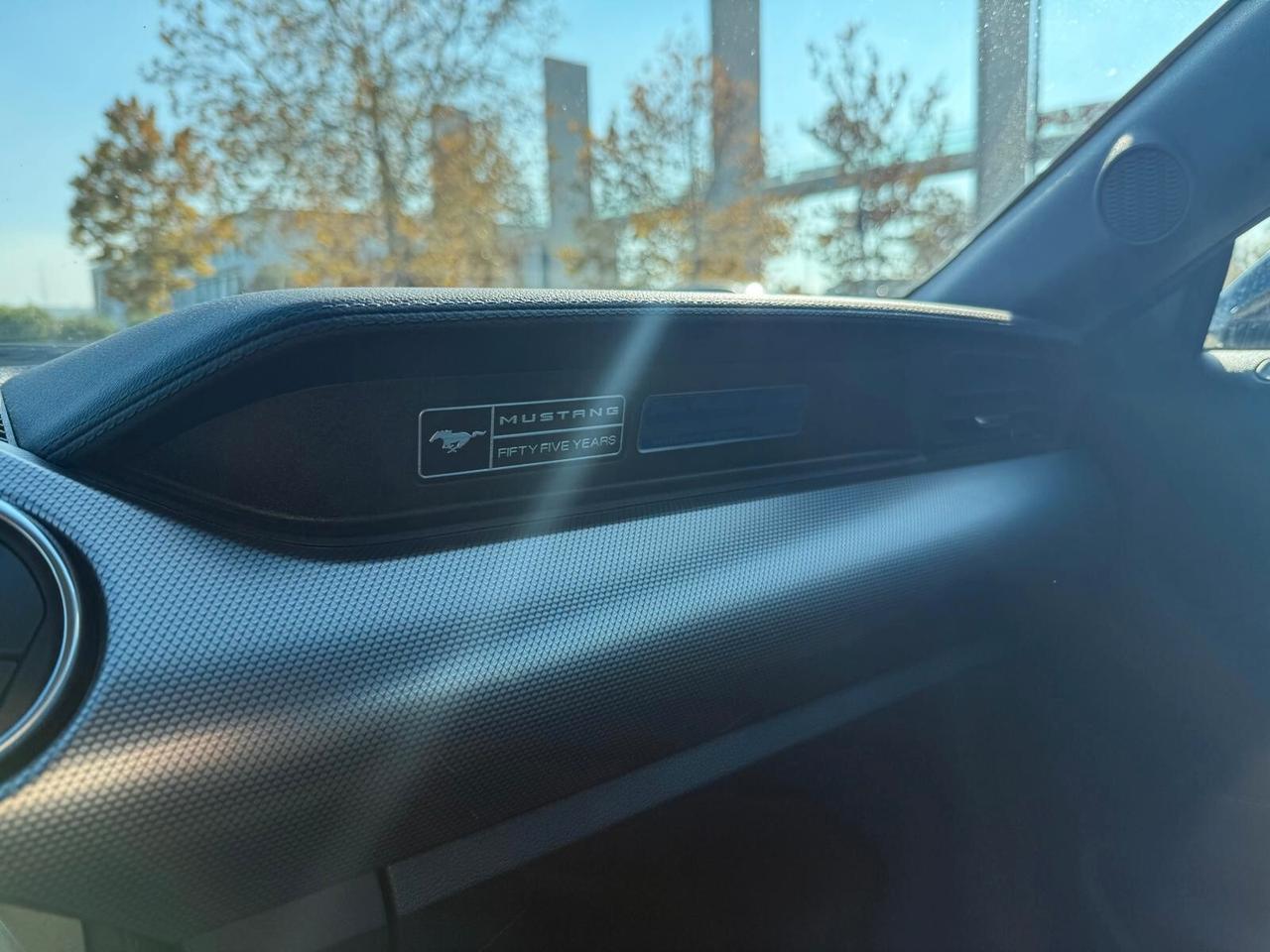 Ford Mustang Fastback 2.3 EcoBoost 55years 317cv