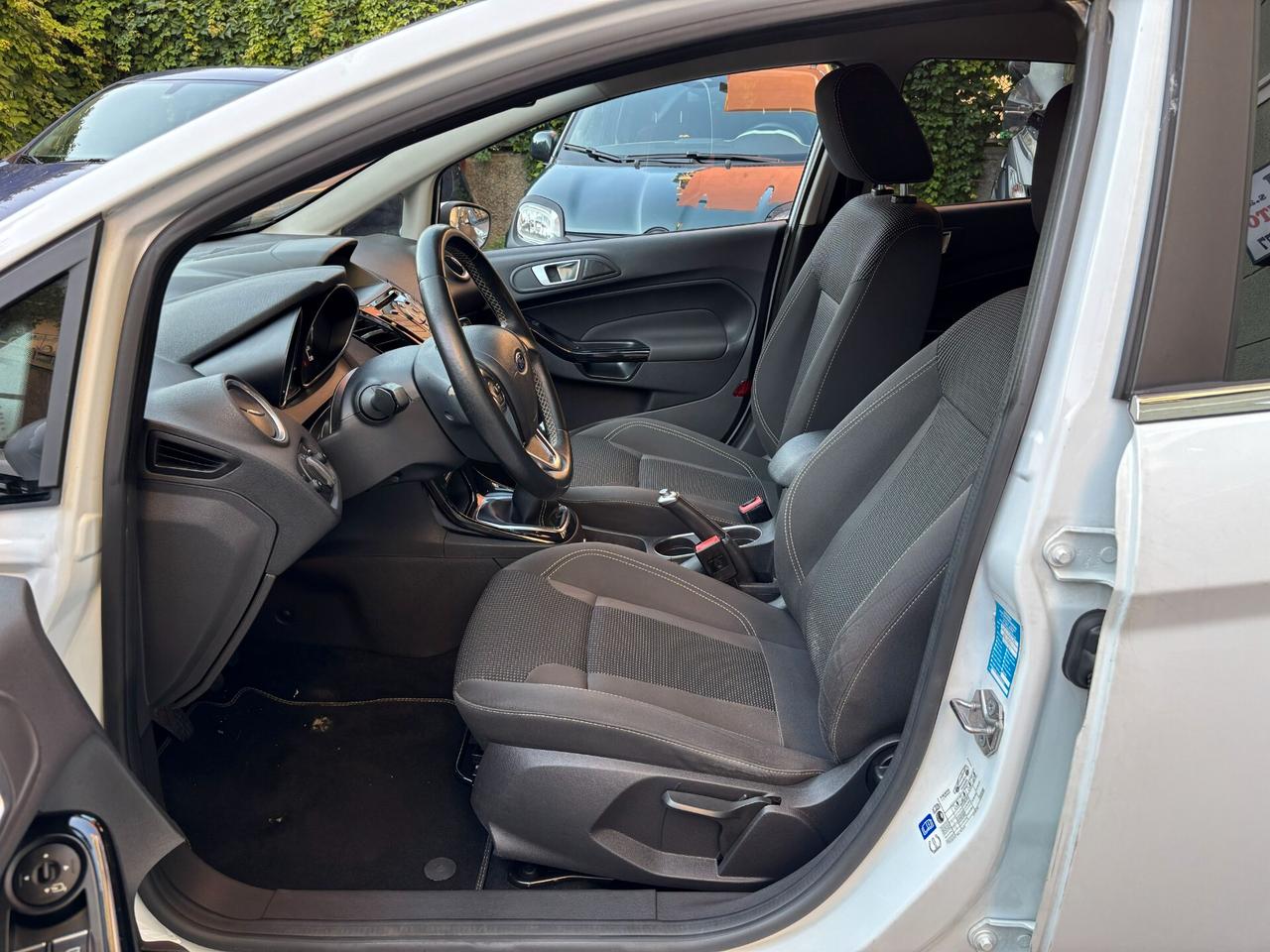 Ford Fiesta 1.4 5 porte Bz.- GPL Black & White Edition