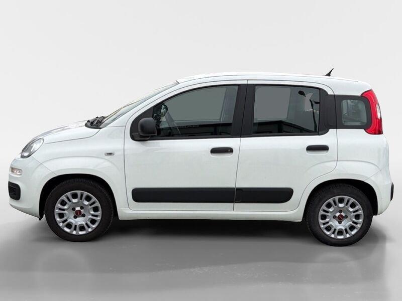 FIAT Panda 1.2 69cv E6 Easy