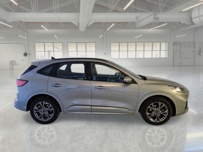 FORD KUGA 1.5 EcoBlue 120CV 2WD ST-Line Auto