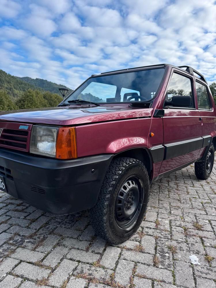 Fiat Panda 1.1 Fire Trekking 4x4 cat.