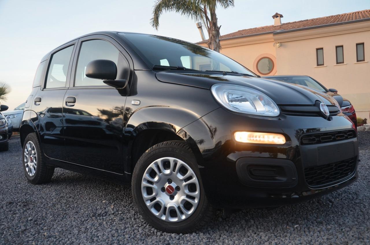 Fiat panda 1.2 benz. Anno 2021