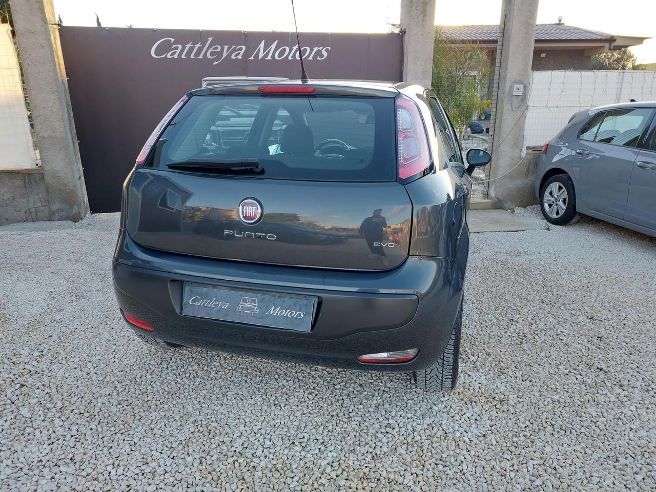 Fiat Punto Evo 1.3 MTJ 75 CV Dynamic 2011