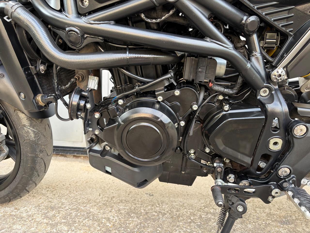 Benelli Leoncino 800