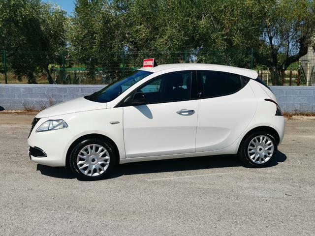 LANCIA Ypsilon 1.2 69 CV 5 porte S&S Gold - OK NEO PATENTATI