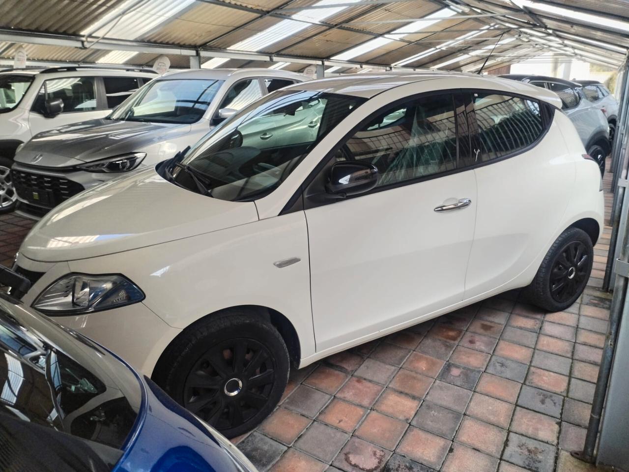 Lancia Ypsilon 1.3 MJT 16V 95 CV 5 porte S&S Platinum