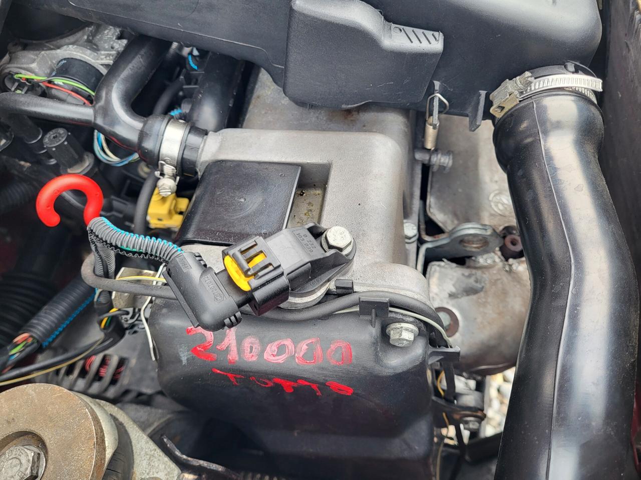 Fiat Panda 1100 i.e. cat Young ASI
