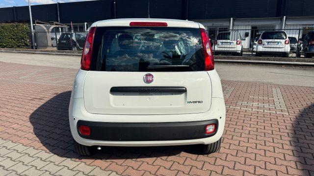 FIAT Pandina 1.0 FireFly Hybrid 65cv POP KMO