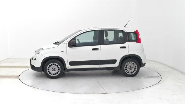 FIAT Panda 1.0 hybrid Street 70cv 4p.ti serie 4 E6d
