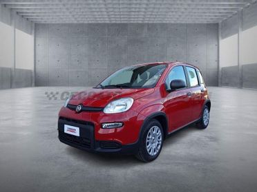 FIAT Panda 1.0 70cv Hybrid Panda