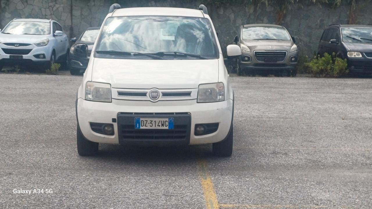 Fiat Panda 1.2 Climbing Natural Power