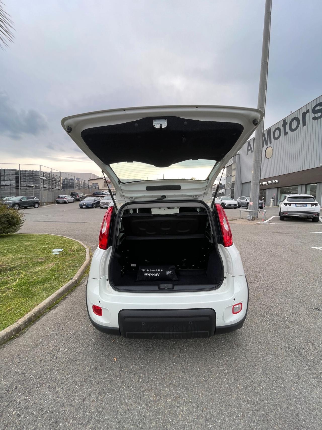 Fiat Panda 1.0 FireFly S&S Hybrid