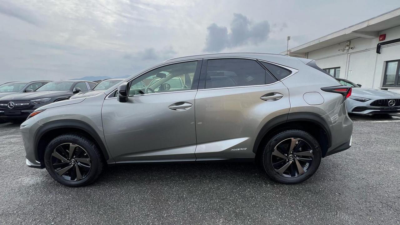 LEXUS NX 300h 2.5 Premium 4wd cvt