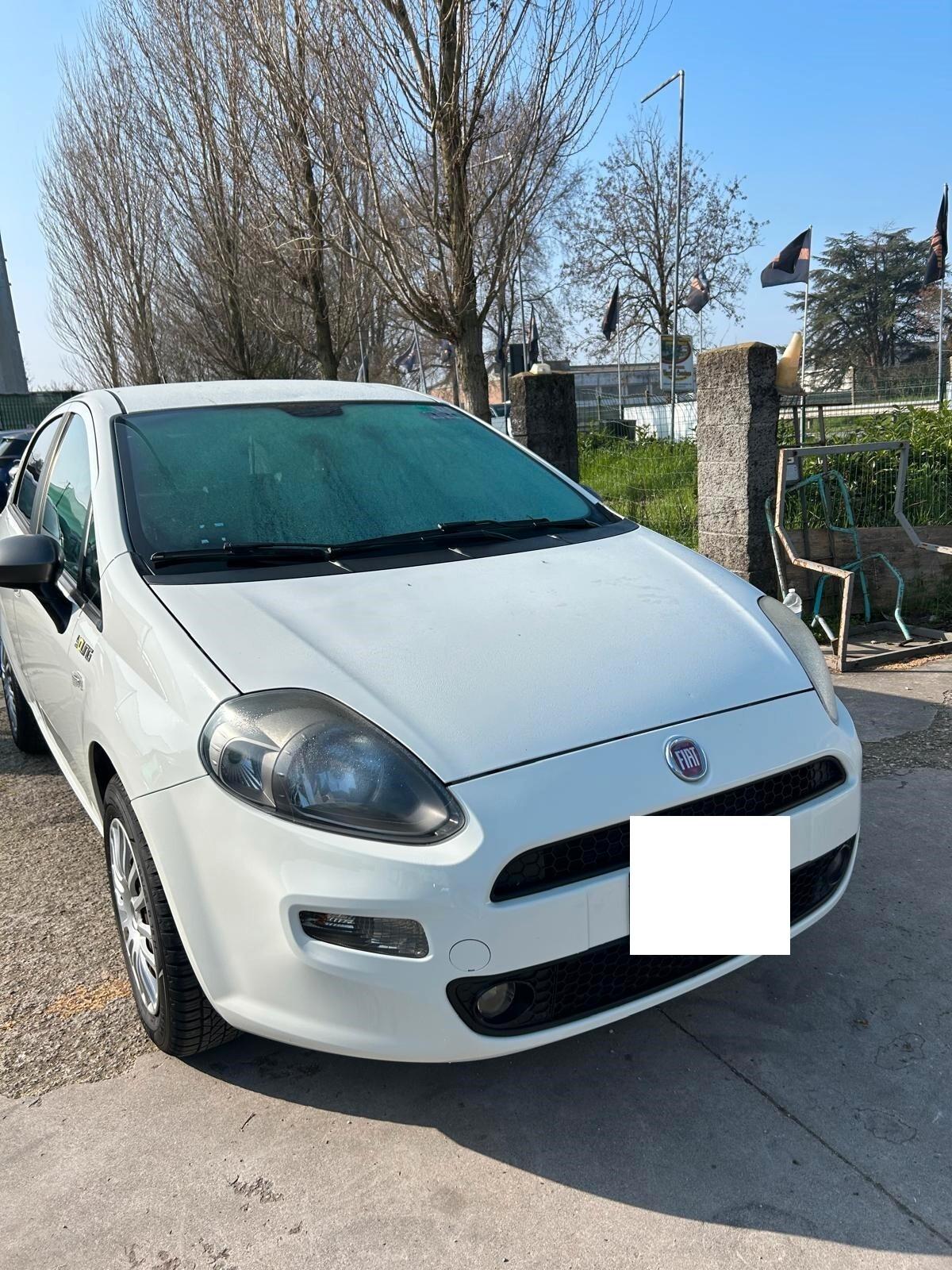 Fiat Punto 1.2 8V 5 porte Lounge ok neo patentati